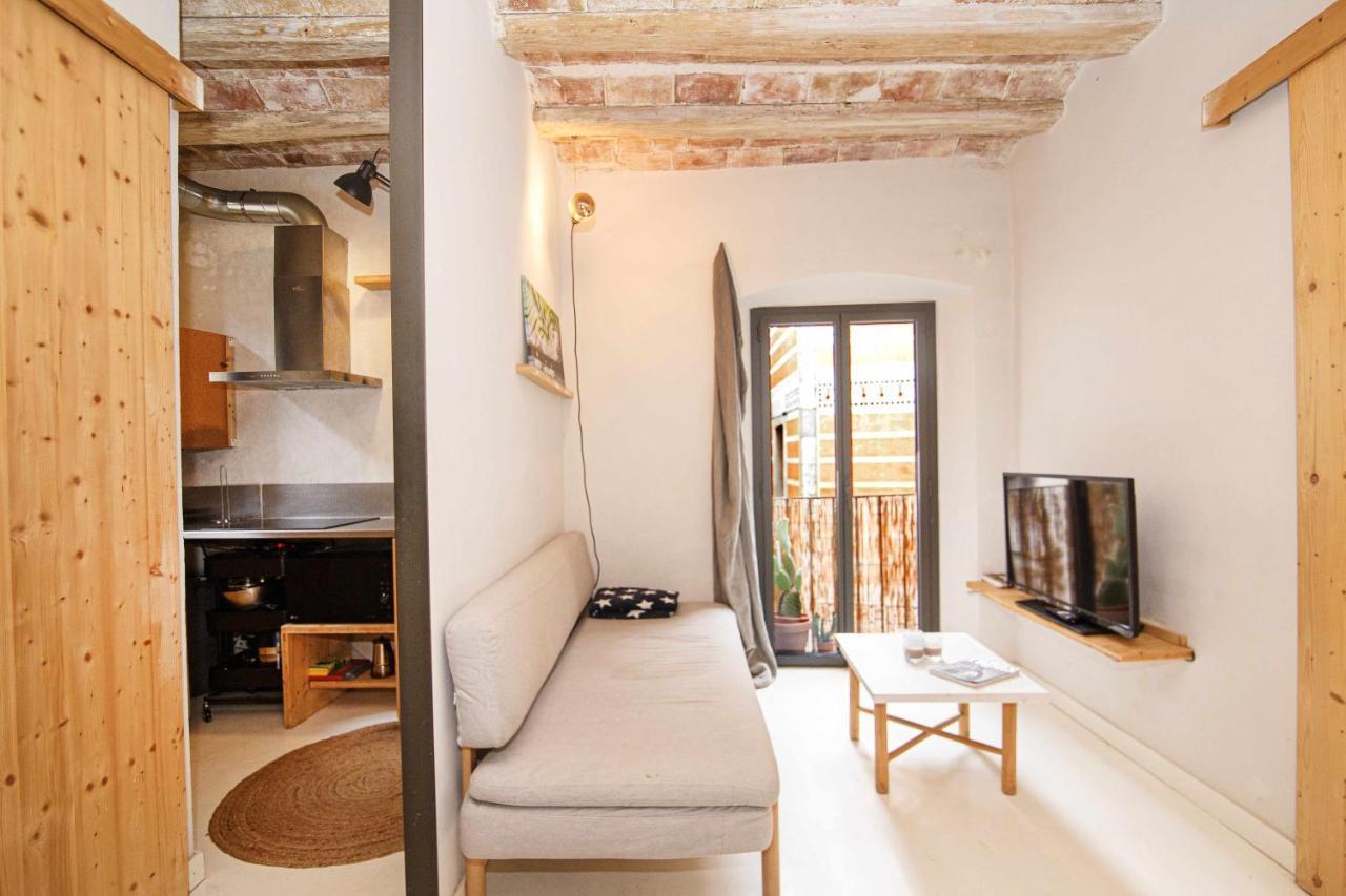 Apartamento Tr Auriga En El Barri Vell Girona Kültér fotó